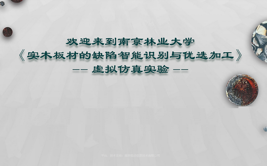 南林木材加工虚拟仿真实验